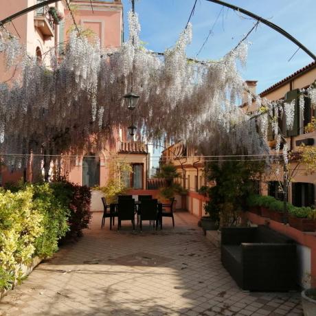 The beautiful blooming wisteria at Barbaria Terrace apartment
