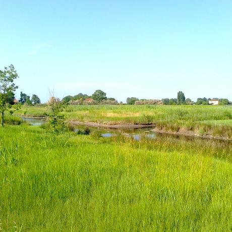 Das Haus mit Garten bieten wir zur mittelfristigen Vermietung auf der Insel Sant'Erasmo in der Lagune von Venedig bei Luxrest Venice an