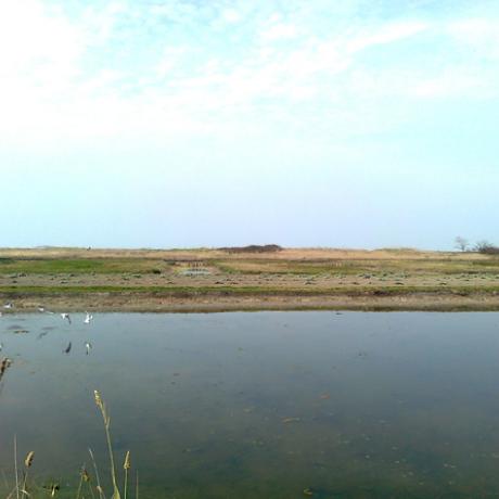 Water and land on Sant'Erasmo island in the Venetian lagoon