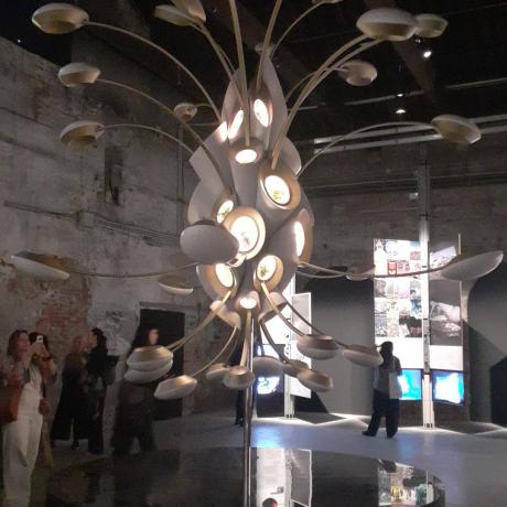Venice Architecture Biennale 2025