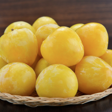 Yellow plums from Lio Piccolo