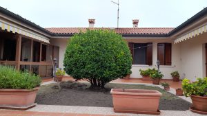 Apartment SANT ERASMO