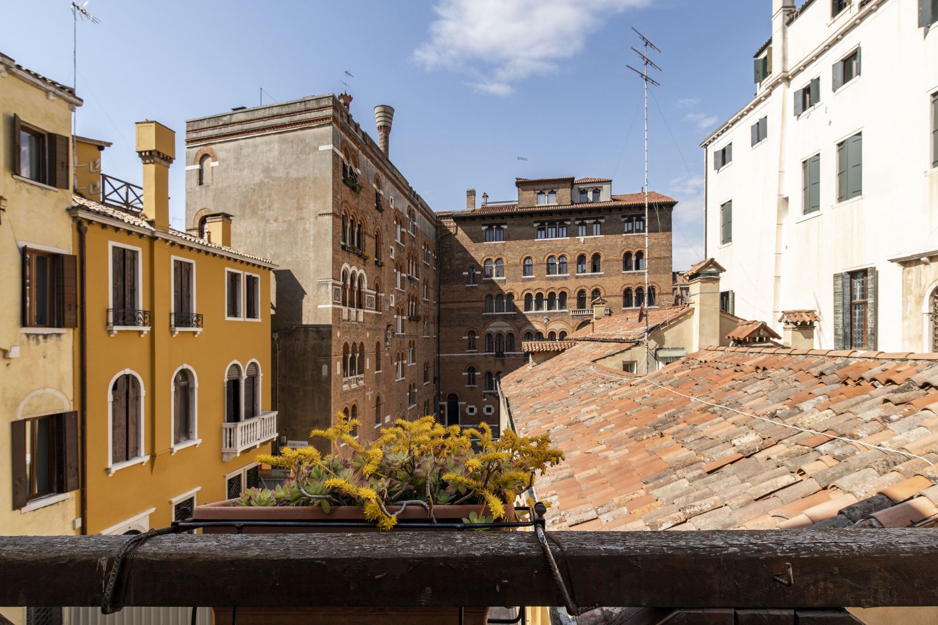 Apartment CORTE DELL'ALBERO