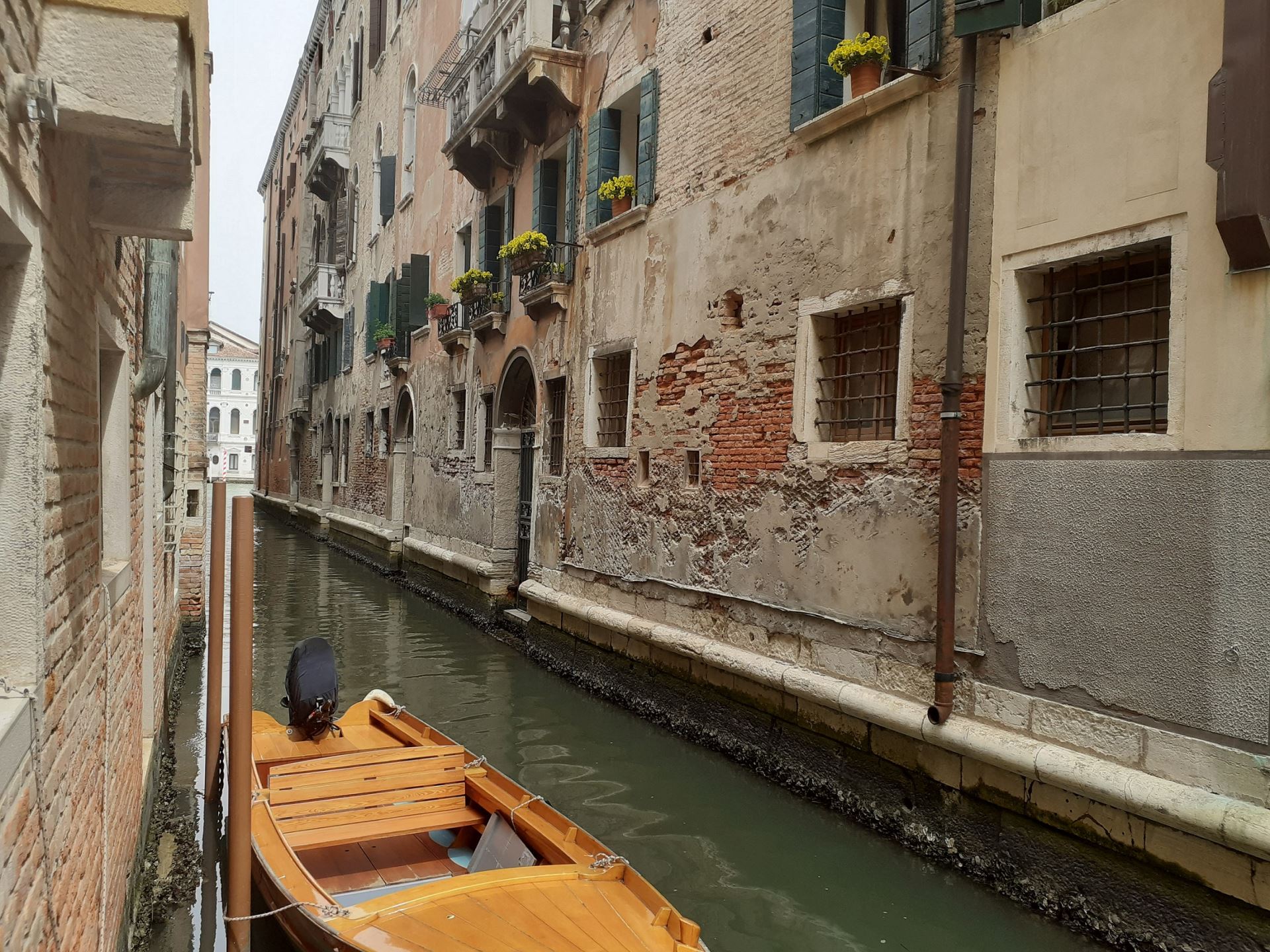 Apartment CORTE DELL'ALBERO