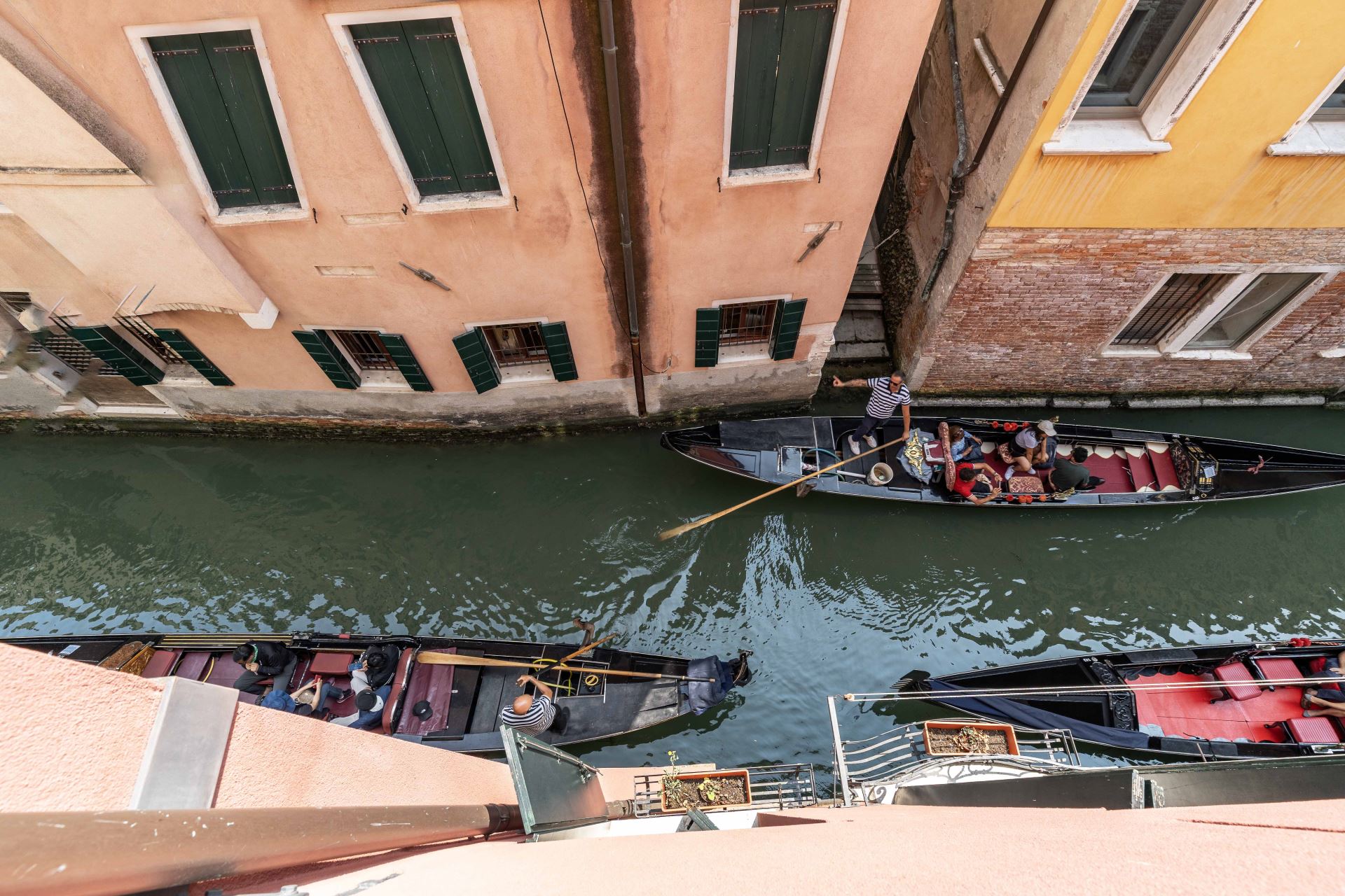 Apartment GIGLIO TERRACE