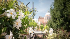 Apartment BARBARIA TERRACE