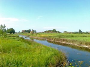 Apartment SANT ERASMO