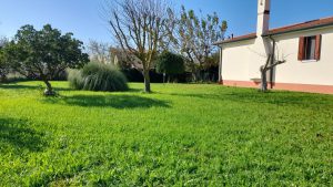 Apartment SANT ERASMO
