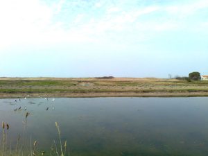 Apartment SANT ERASMO