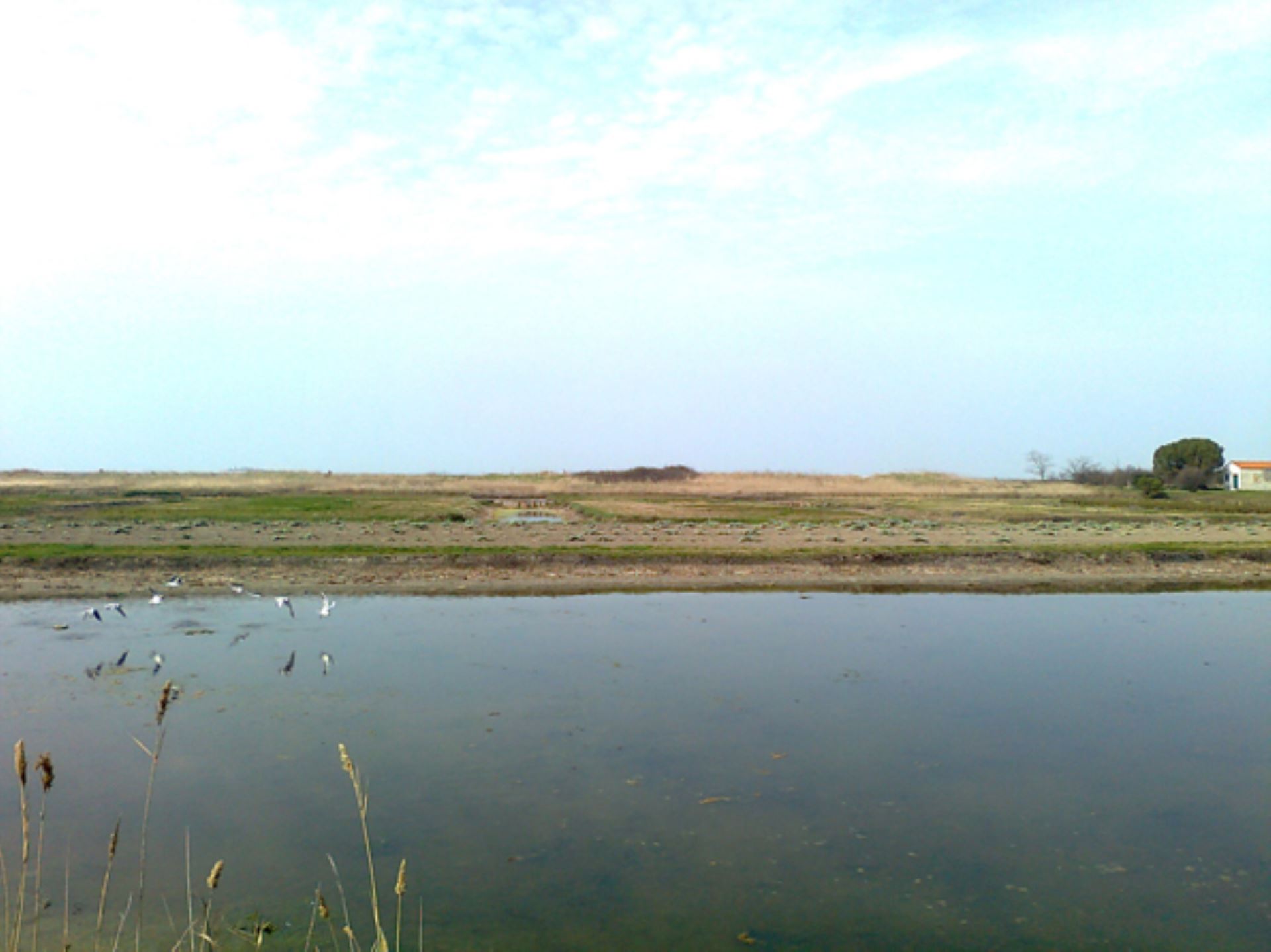 Apartment SANT ERASMO