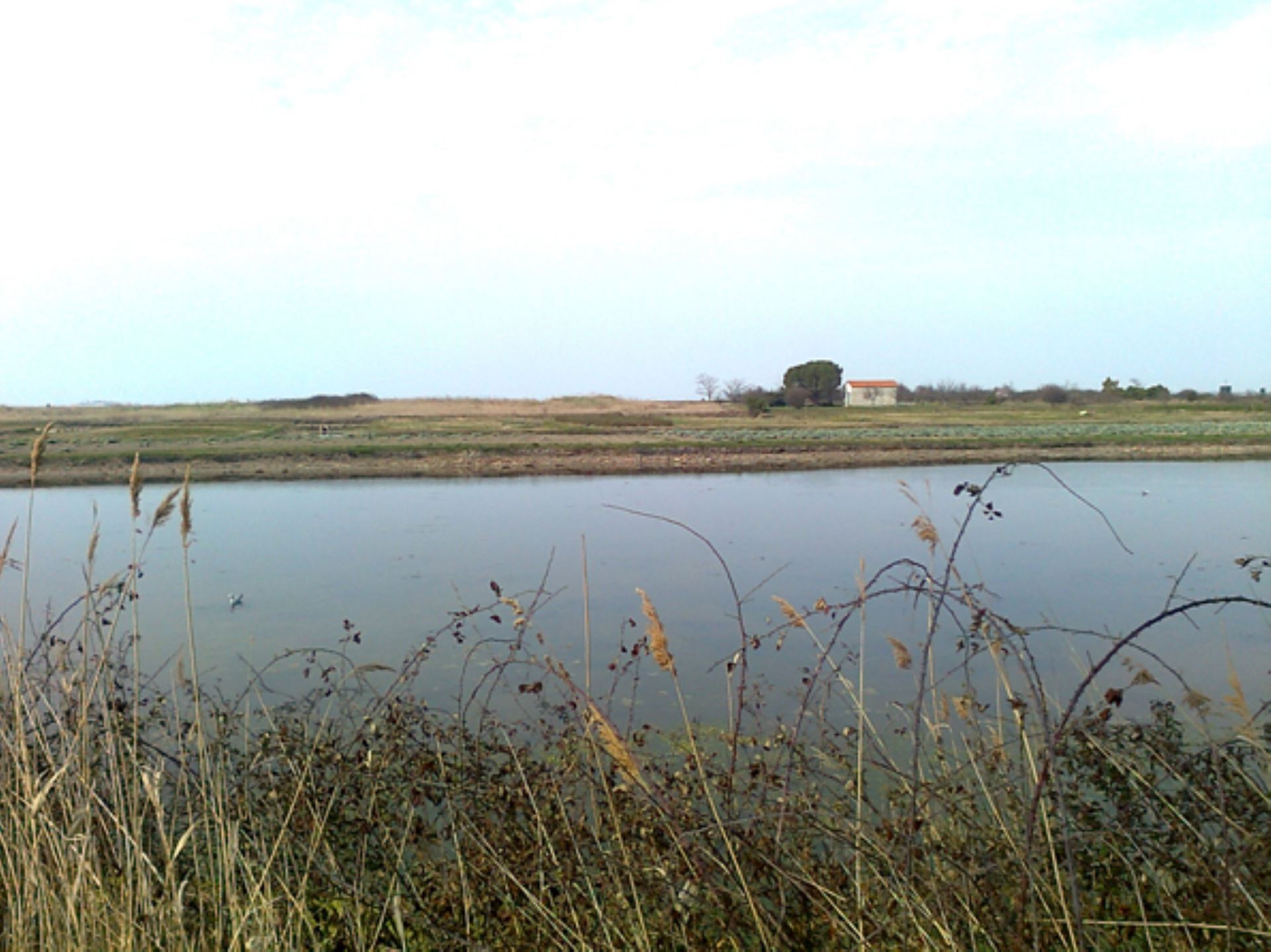 Apartment SANT ERASMO