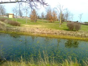 Apartment SANT ERASMO