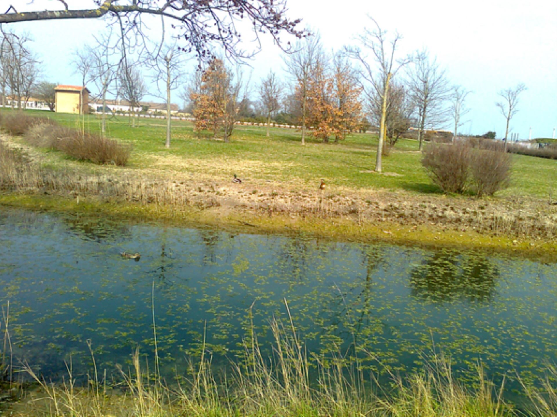 Apartment SANT ERASMO