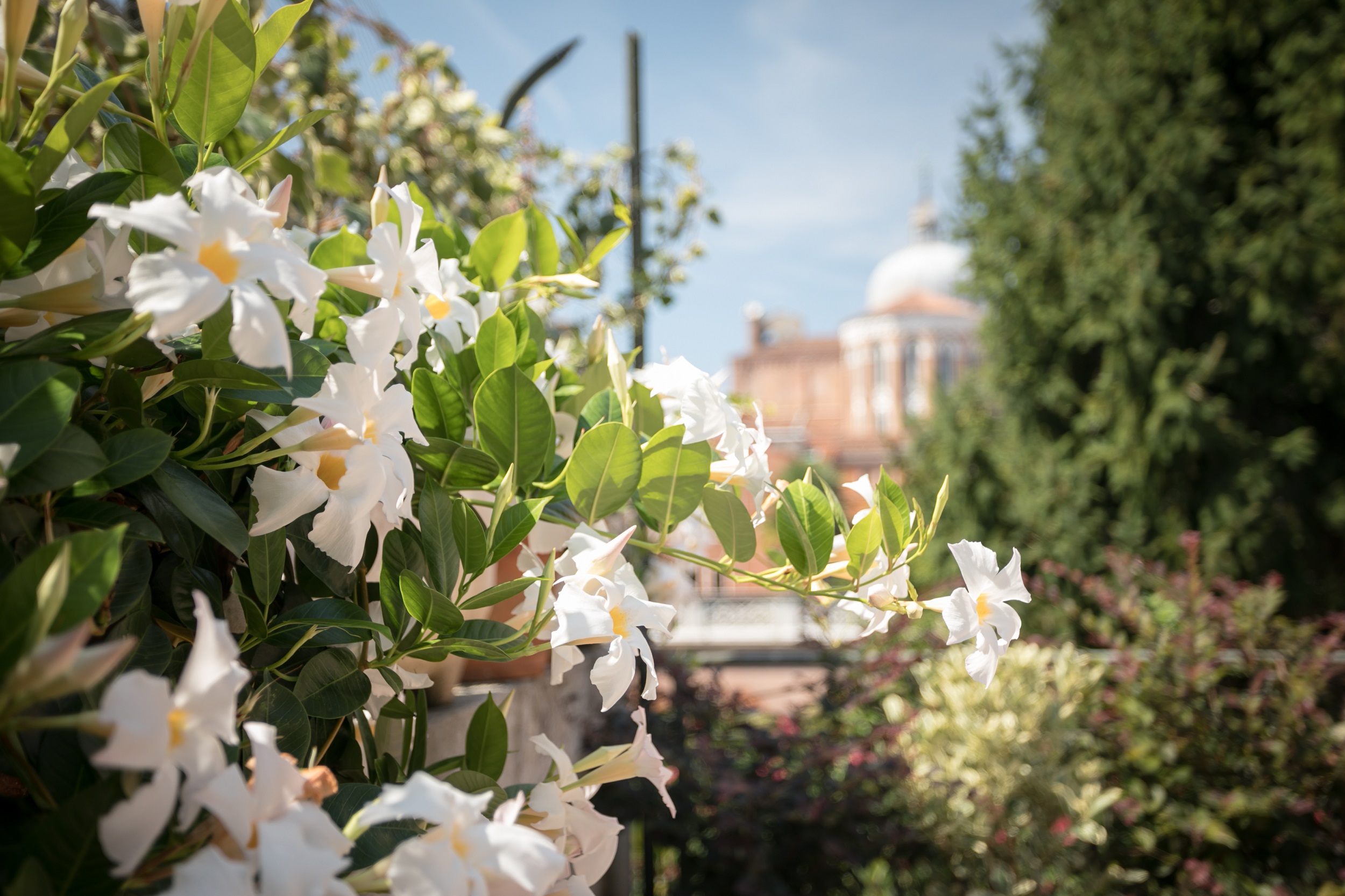 Image Landing Page Venezia Appartements image